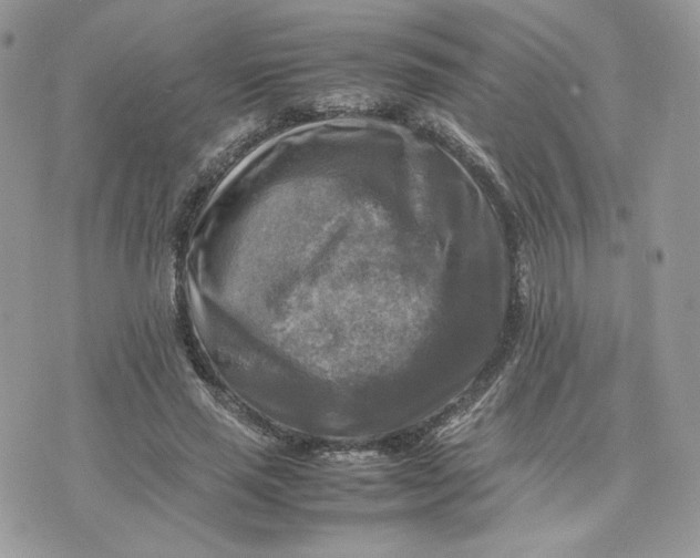 X0000075380637200609291552