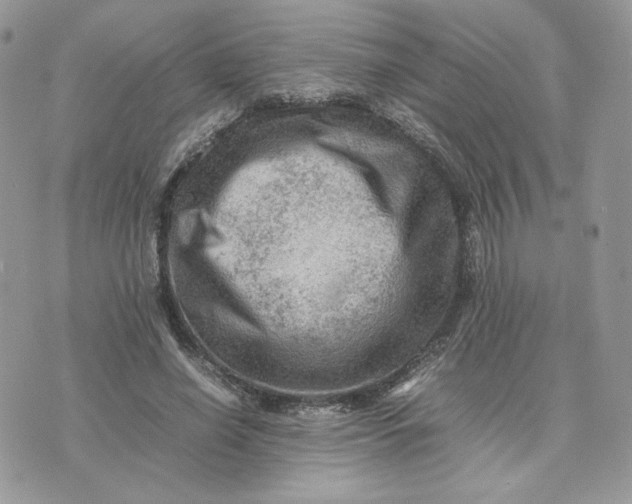 X0000075380638200609291552