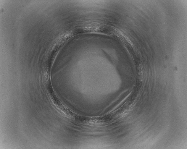 X0000075380641200609291552