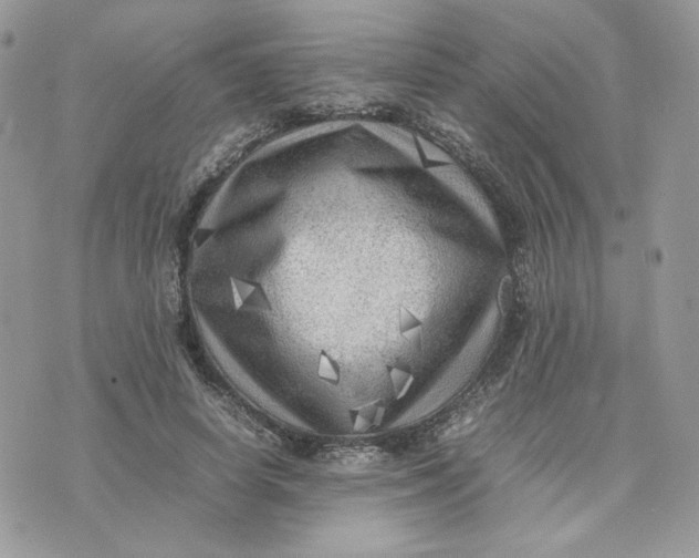 X0000075380642200609291552