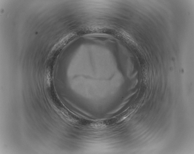 X0000075380644200609291552