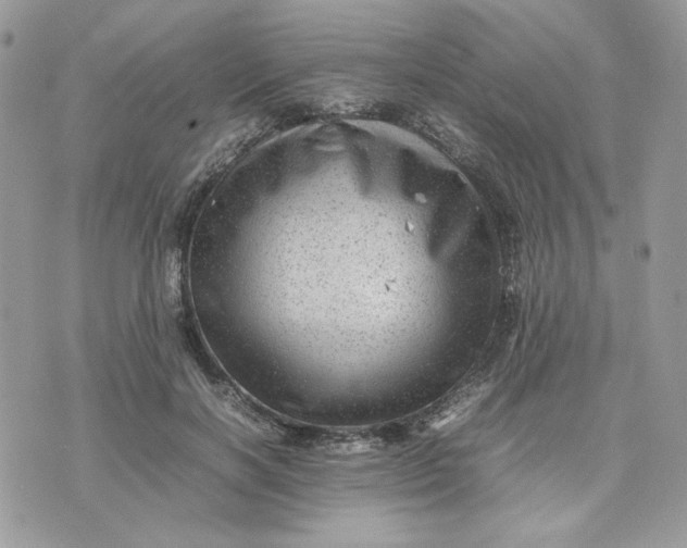 X0000075380646200609291552