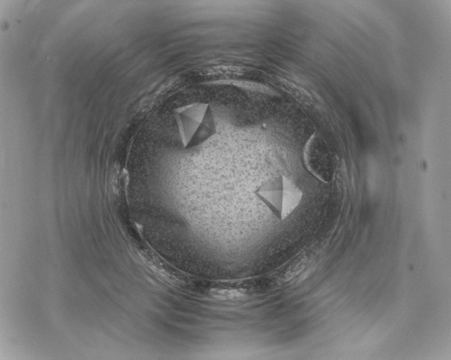 X0000075380649200609291552