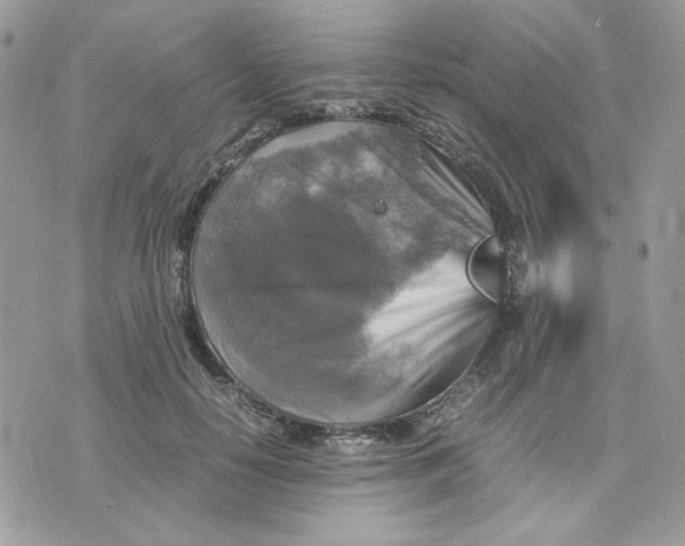 X0000075380650200609291552