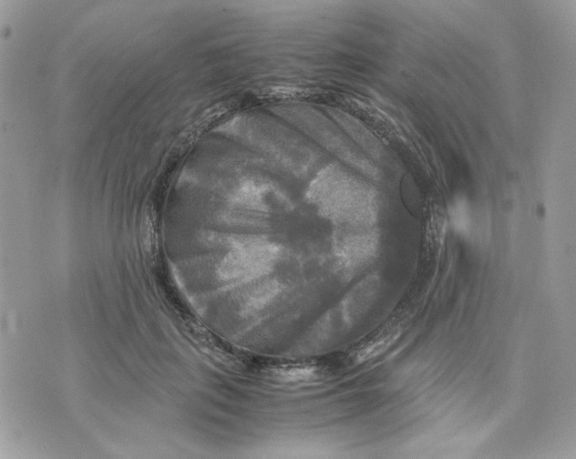 X0000075380651200609291552