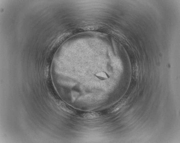 X0000075380652200609291552