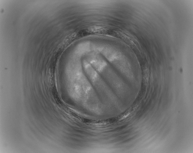 X0000075380653200609291552