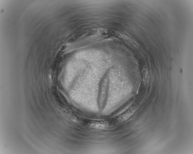 X0000075380655200609291552