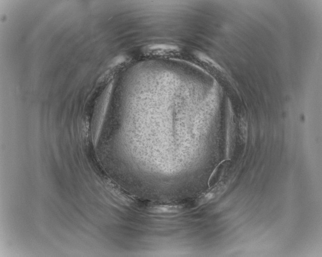 X0000075380657200609291552