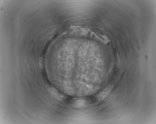 X0000075380658200609291552