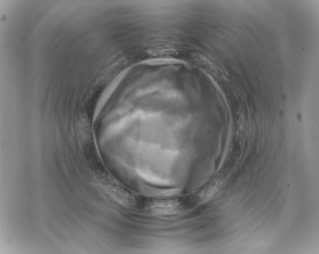 X0000075380659200609291552