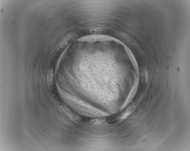 X0000075380660200609291552