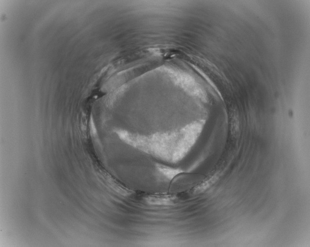 X0000075380661200609291552