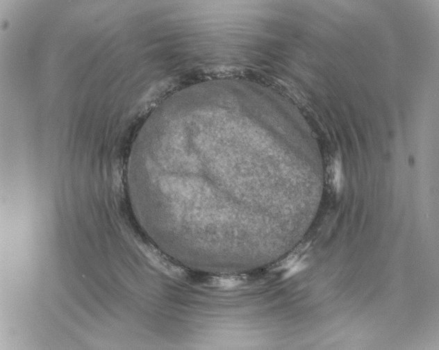 X0000075380662200609291552