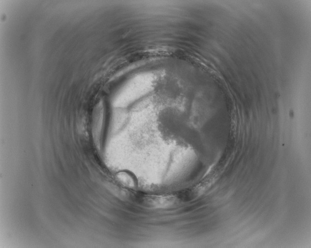 X0000075380663200609291552