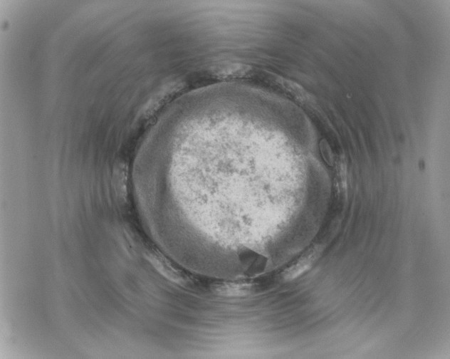 X0000075380664200609291552