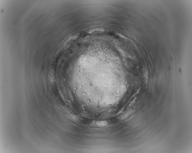 X0000075380665200609291552