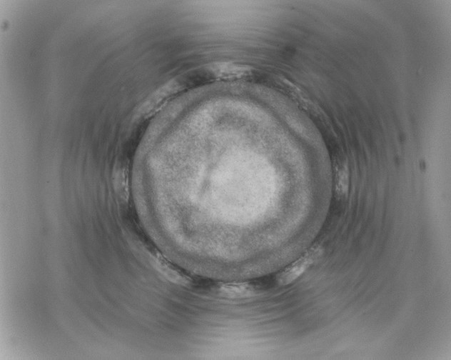 X0000075380666200609291552