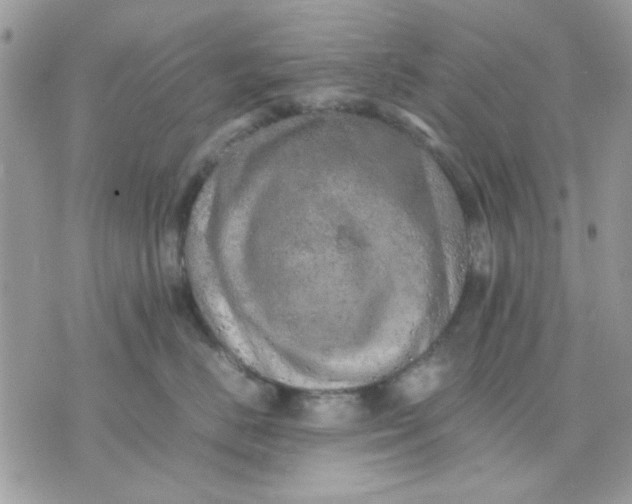 X0000075380670200609291552