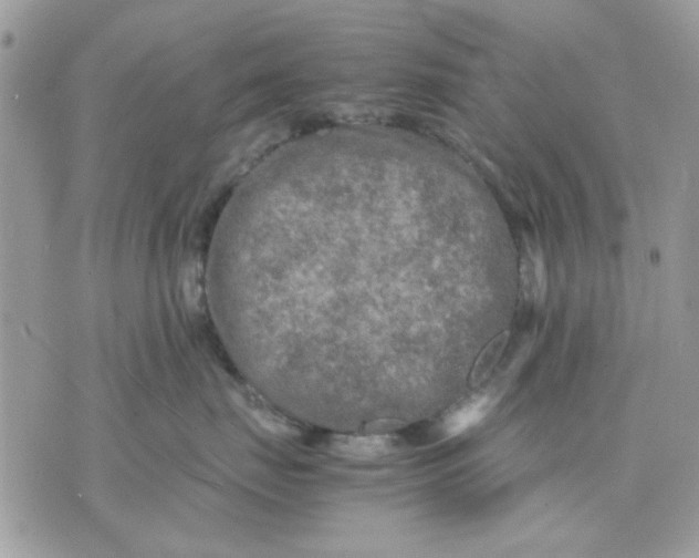 X0000075380671200609291552