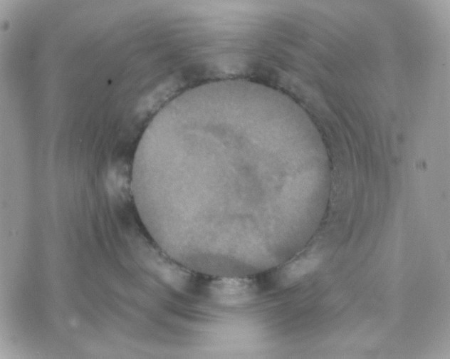 X0000075380672200609291552