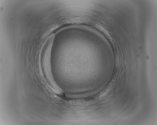 X0000075380673200609291552