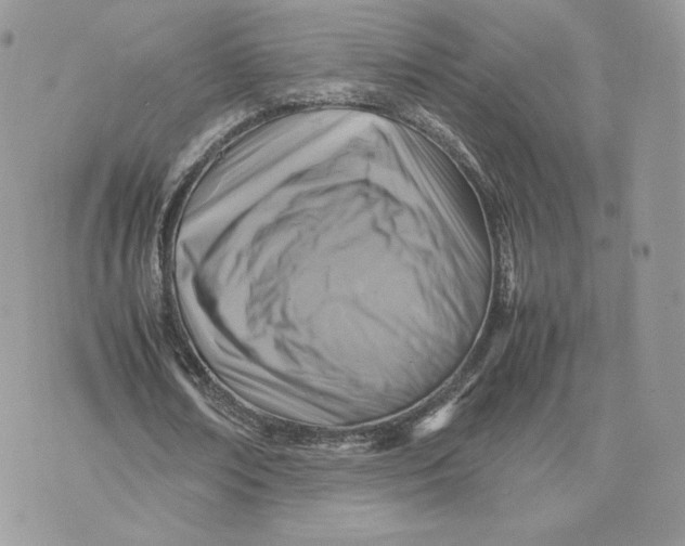 X0000075380674200609291552