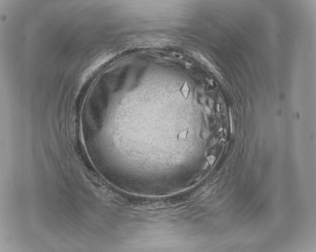 X0000075380675200609291552