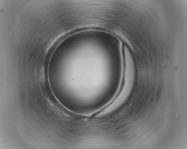 X0000075380676200609291551