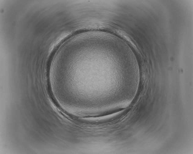 X0000075380677200609291551