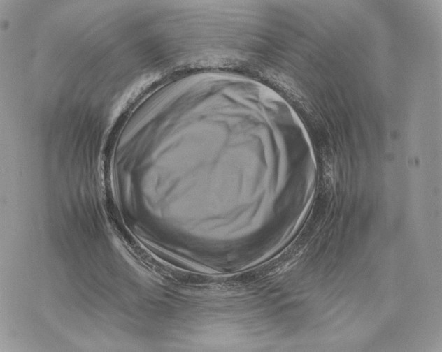 X0000075380678200609291551