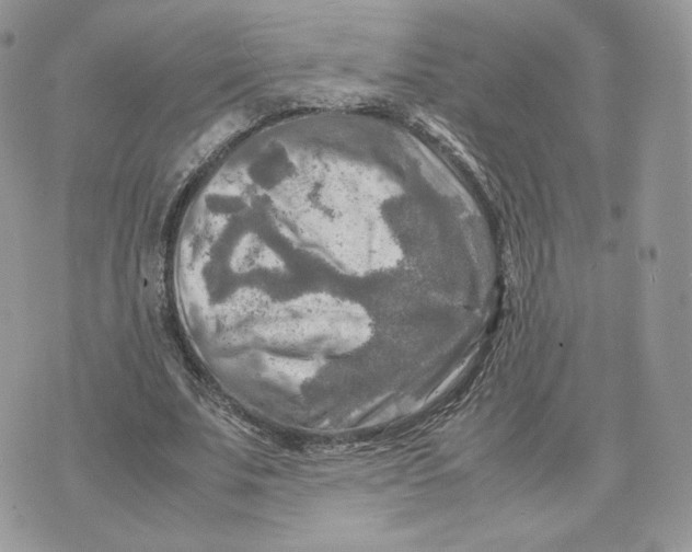 X0000075380679200609291551