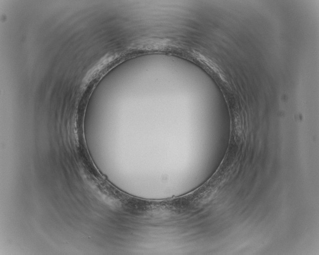 X0000075380682200609291551