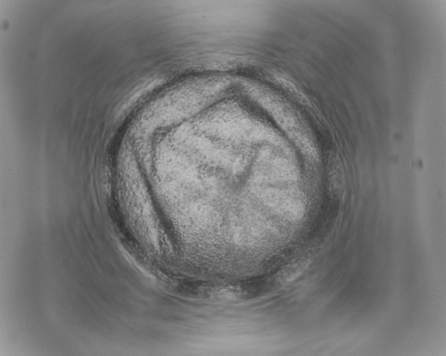 X0000075380683200609291551