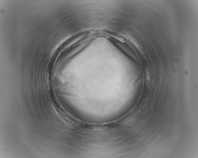 X0000075380684200609291551