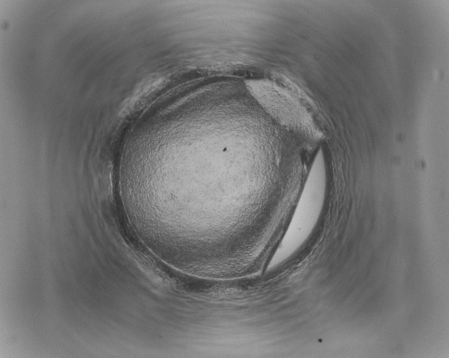 X0000075380685200609291551