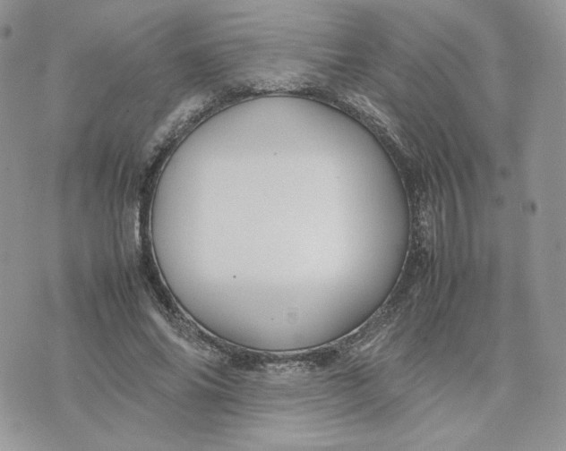 X0000075380686200609291551