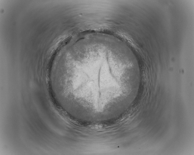 X0000075380687200609291551