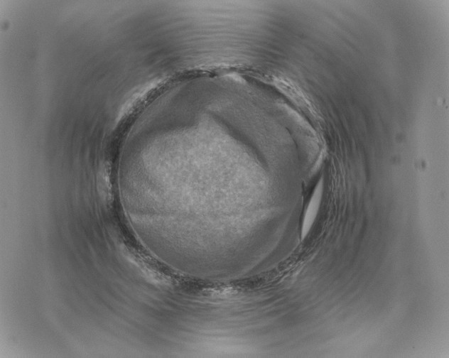 X0000075380688200609291551