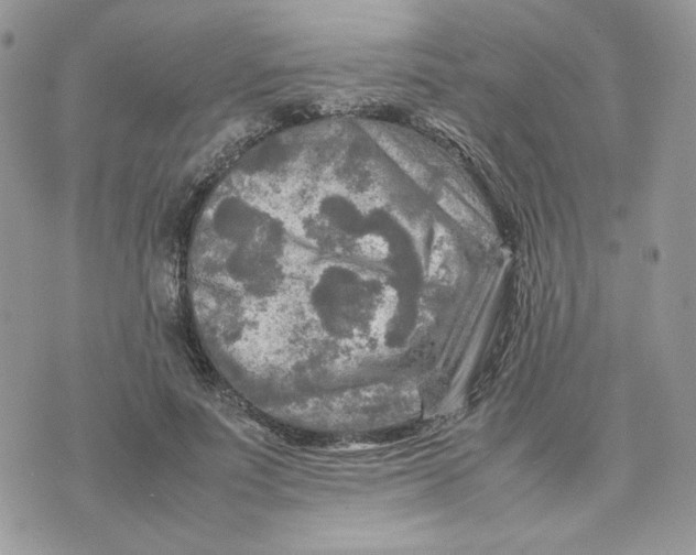 X0000075380691200609291551