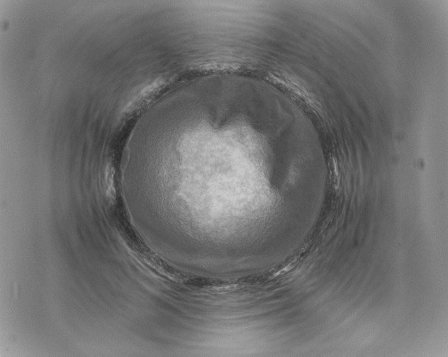 X0000075380692200609291551