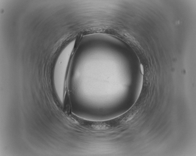 X0000075380693200609291551