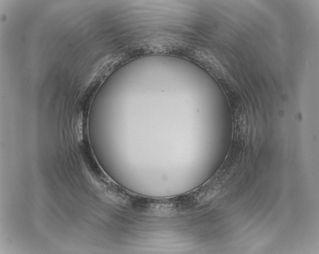 X0000075380694200609291551