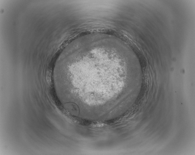 X0000075380695200609291551