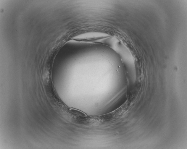 X0000075380697200609291551