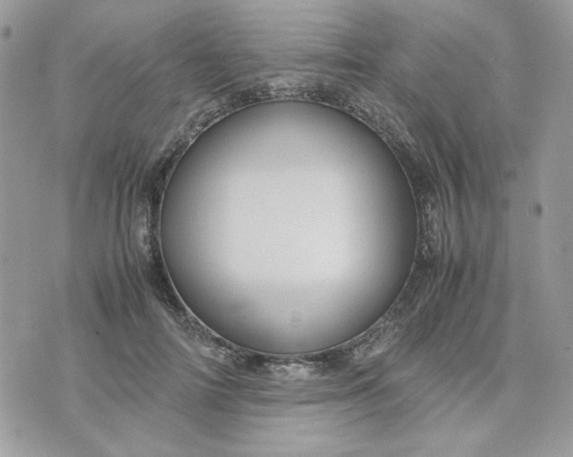 X0000075380698200609291551