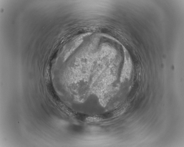 X0000075380699200609291551