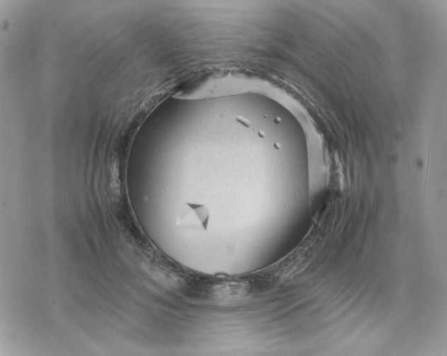 X0000075380700200609291551