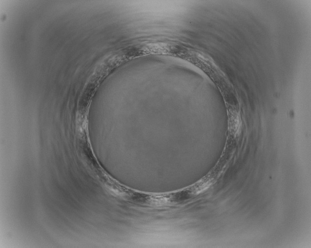 X0000075380701200609291551