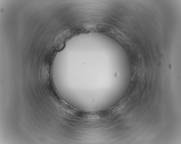 X0000075380702200609291551